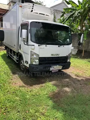 Isuzu Freezer 2014 Lorry (Used)