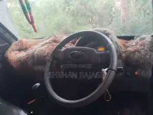 Mahindra Maxximo Plus 2013 Lorry (Used)