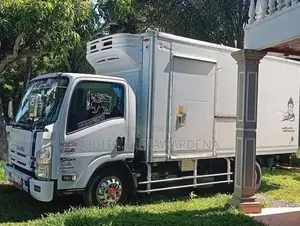 Isuzu Freezer 2011 Lorry (Used)