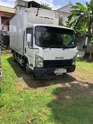 Isuzu Freezer 2014 Lorry (Used)
