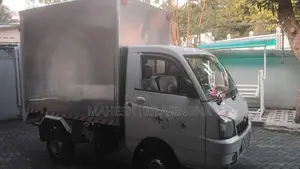 Mahindra Maxximo Plus 2015 Lorry (Used)