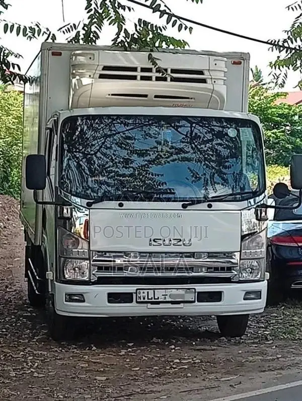 Isuzu NPR Freezer 2008 Lorry (Used)