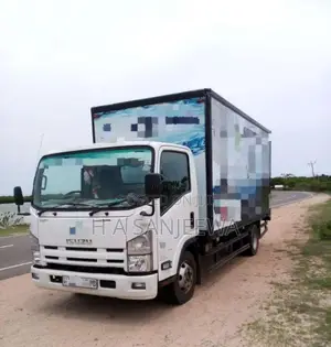 Isuzu NPR 2019 Lorry (Used)