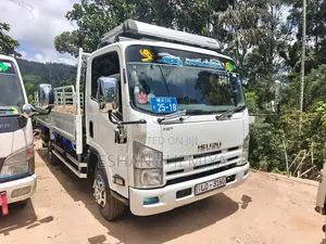 Isuzu NPR75U 2019 Lorry (Used)
