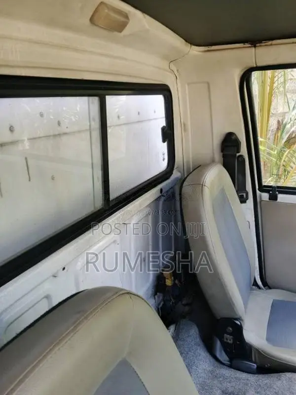Ashok-Leyland Dost 2018 Lorry (Used)