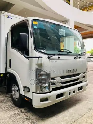 Isuzu ELF NPR85 FREEZER TRUCK 2019 Lorry (Used)