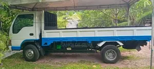 Isuzu ELF 1987 Lorry (Used)