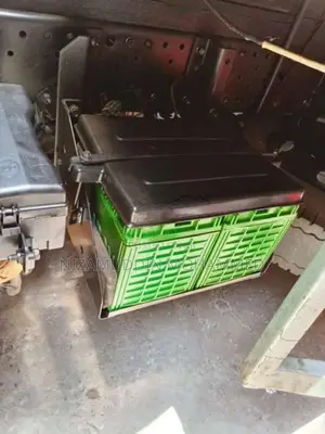 Isuzu Isuzu 2018 Lorry (Used)