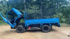 Isuzu Lorry Isuzu 1990 Lorry (Used)