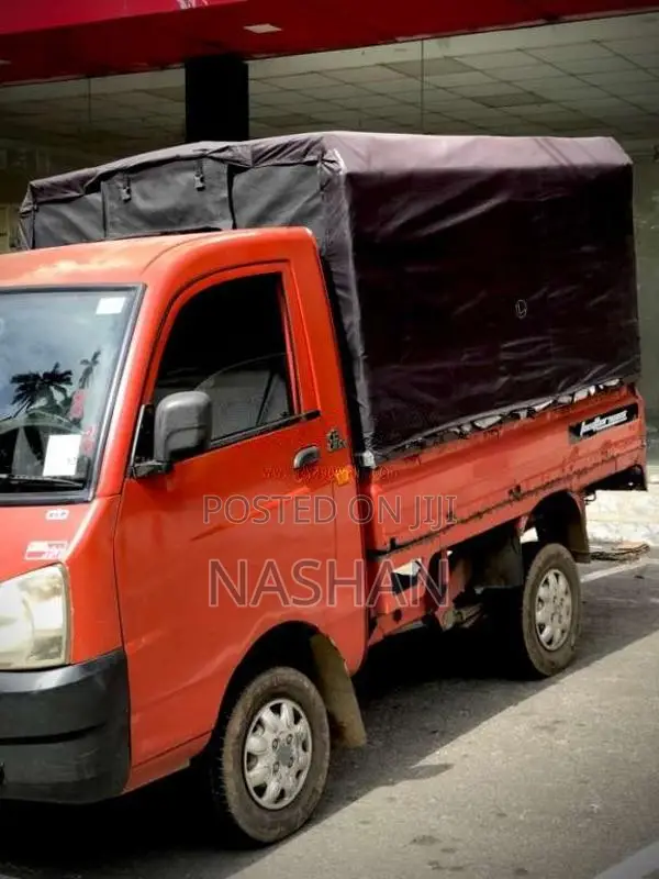 Mahindra Maxximo 2011 Lorry (Used)