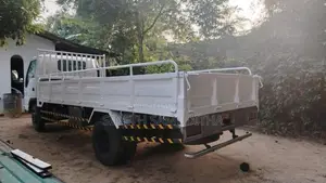 Isuzu Elf 1988 Lorry (Used)