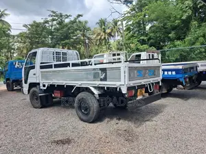 Isuzu ELF 1980 Lorry (Used)