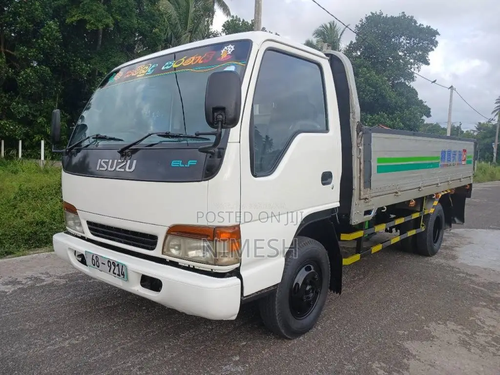 Isuzu NPR66L 1994 Lorry (Used)