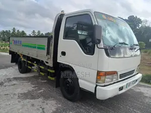 Isuzu NPR66L 1994 Lorry (Used)