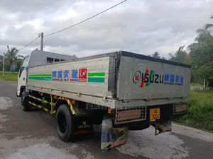 Isuzu NPR66L 1994 Lorry (Used)