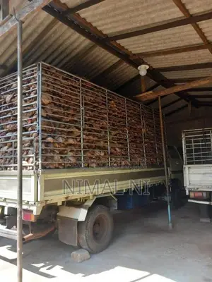 Toyota Dyna 1982 Lorry (Used)