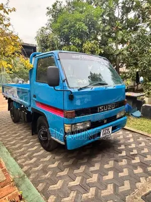 Isuzu ELF 1993 Lorry (Used)