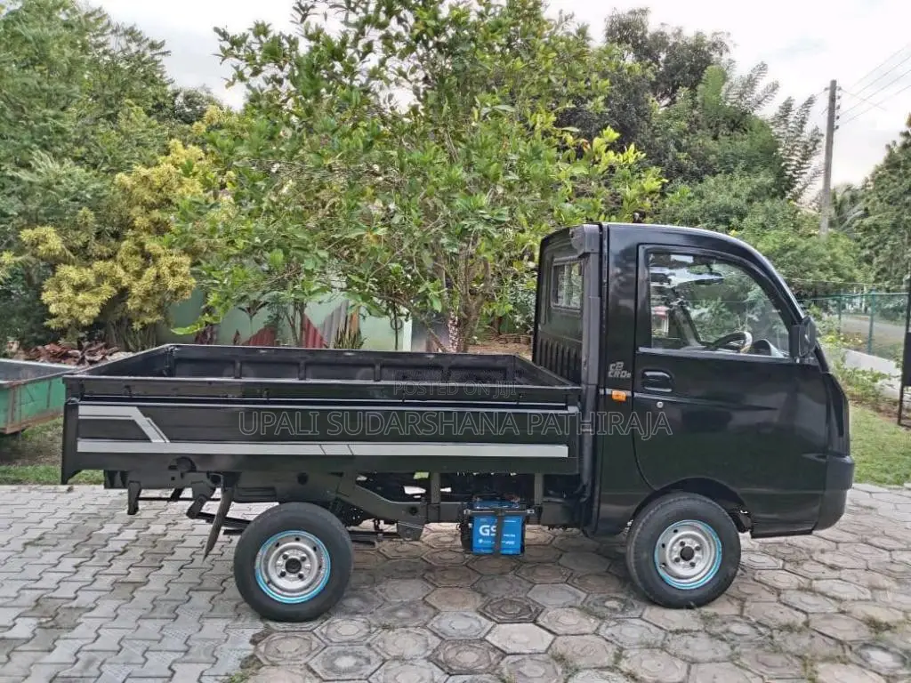 Mahindra Maxximo 2011 Lorry (Used)