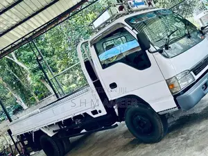 Isuzu Elf 2008 Lorry (Used)