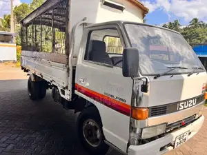 Isuzu ELF 14.5ft 1993 Lorry (Used)