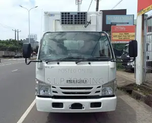 Isuzu ELF ISSARA PASSA DUNU 2019 Lorry Unregistered (Recondition)