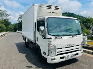 Isuzu Isuzu 2013 Lorry (Used)