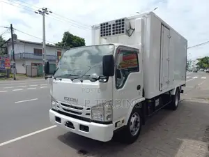 Isuzu ELF ISSARA PASSA DUNU 2019 Lorry Unregistered (Recondition)