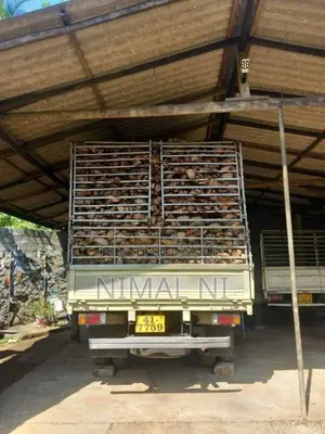 Toyota Dyna 1982 Lorry (Used)