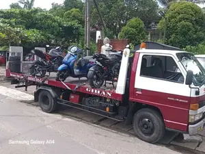 Isuzu Carrier 1993 Lorry (Used)