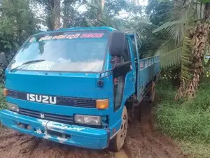 Isuzu Isuzu 1989 Lorry (Used)