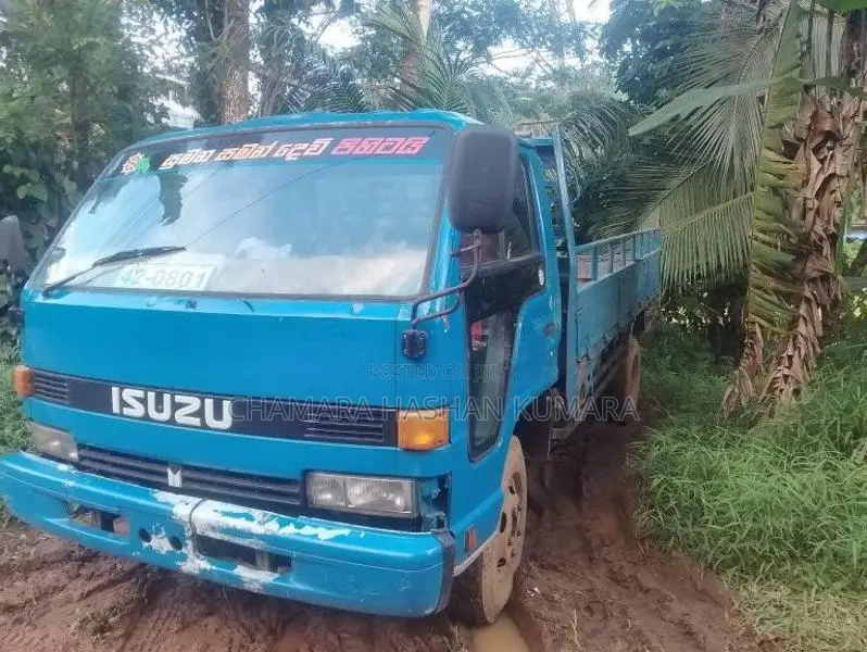Isuzu Isuzu 1989 Lorry (Used)