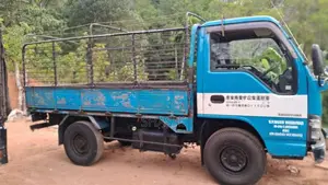 Isuzu 10.5 FT 1987 Lorry (Used)