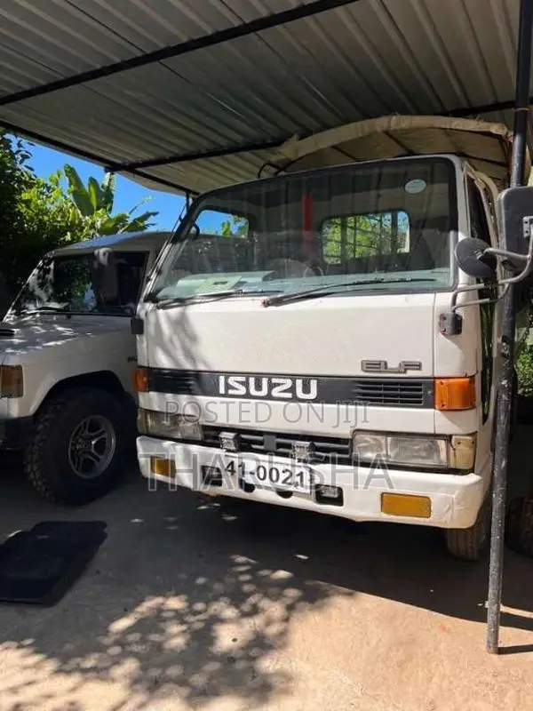 Isuzu ELF 1986 Lorry (Used)