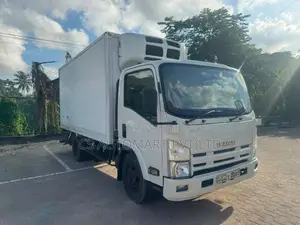 Isuzu ELF 2007 Lorry (Used)