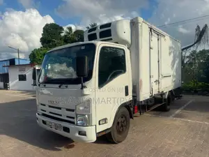 Isuzu ELF 2007 Lorry (Used)