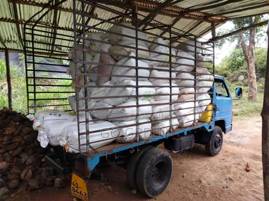 Isuzu ELF 1982 Lorry (Used)