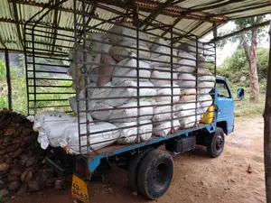 Isuzu ELF 1982 Lorry (Used)