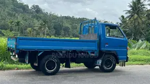 Isuzu ELF 1979 Lorry (Used)