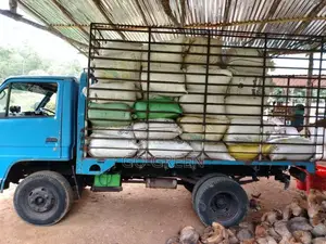Isuzu ELF 1982 Lorry (Used)