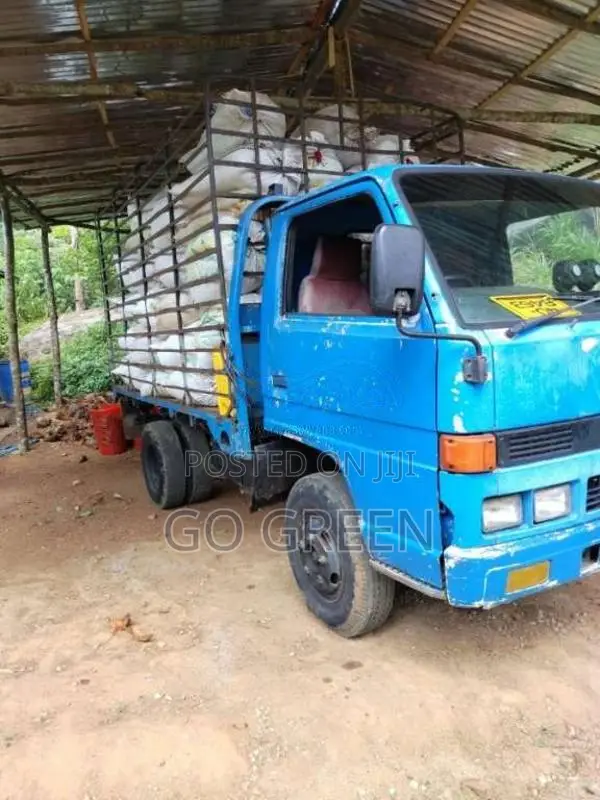 Isuzu ELF 1982 Lorry (Used)