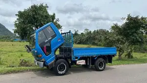 Isuzu ELF 1979 Lorry (Used)