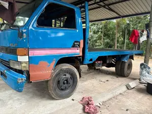 Isuzu ELF 1980 Lorry (Used)