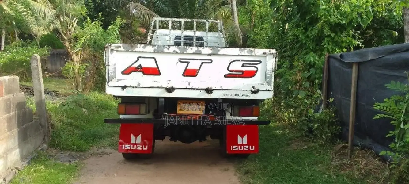Isuzu ELF 250 1980 Lorry (Used)