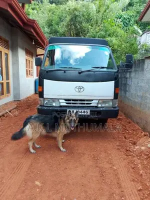 Toyota Dyna 1992 Lorry (Used)
