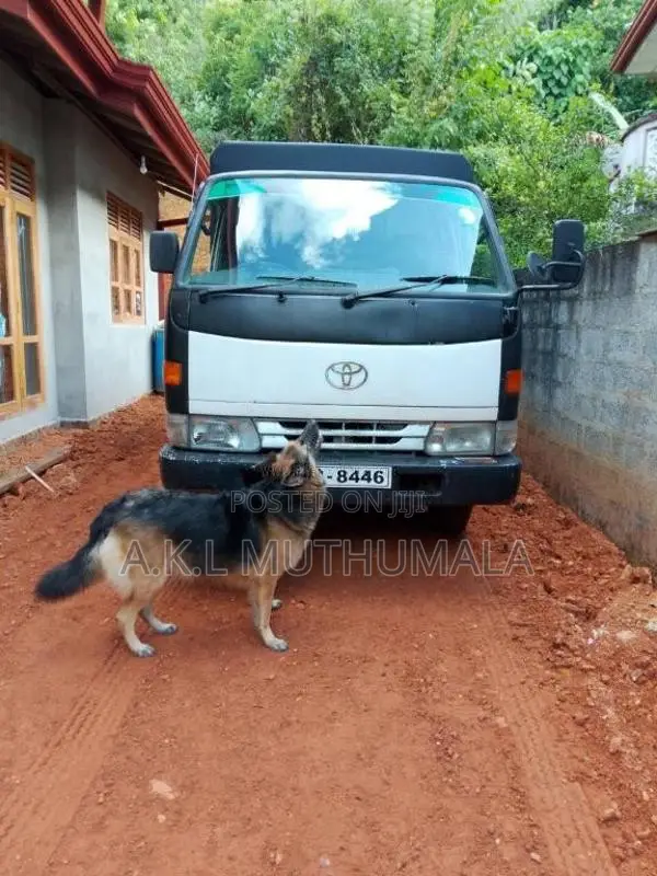 Toyota Dyna 1992 Lorry (Used)