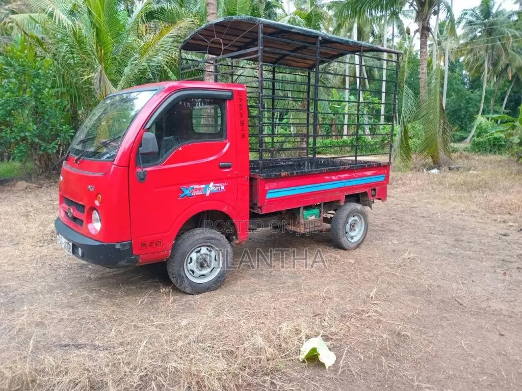 Tata Dimo Batta 2009 Lorry (Used)