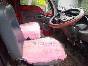 Tata Dimo Batta 2009 Lorry (Used)