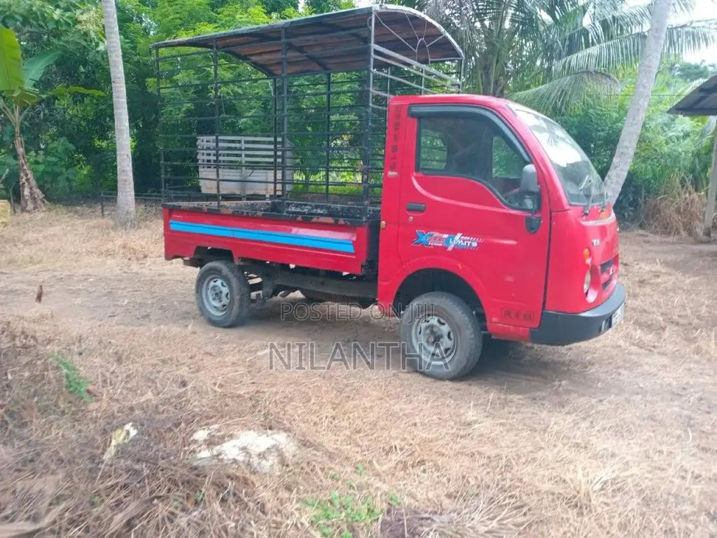 Tata Dimo Batta 2009 Lorry (Used)