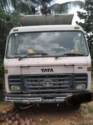 Tata Tata 2010 Lorry (Used)