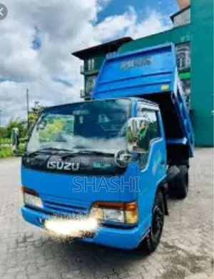 Isuzu TIPPER 2004 Lorry (Used)
